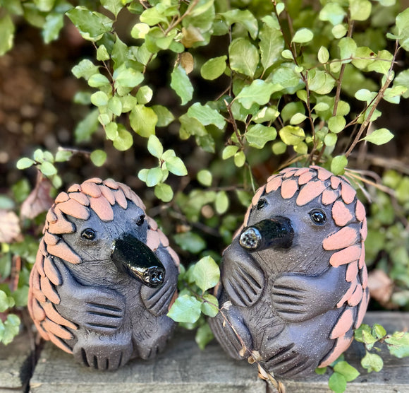 Ceramic Echidna